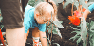 Earth Day | Central Mass Mom