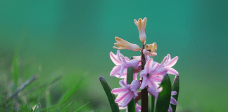 Optimism in April | Central Mass Mom