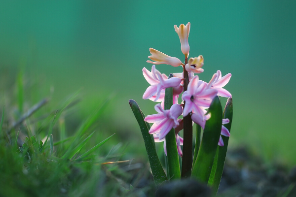 Optimism in April | Central Mass Mom
