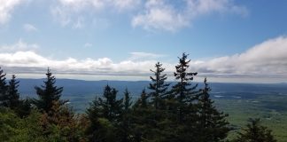 Summer Day Trips | Central Mass Mom