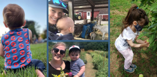 Summer in Central Mass | Central Mass Mom