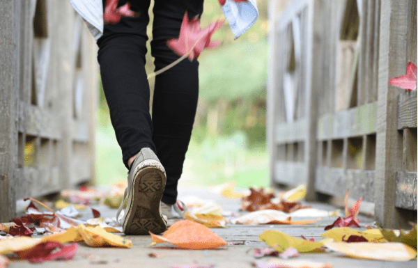Favorite Things About Fall | Central Mass Mom