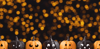 COVID Halloween | Central Mass Mom