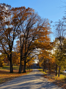 Balanced Life | Central Mass Mom