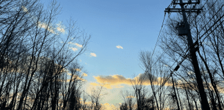 Mini Moments of Joy | Central Mass Mom