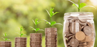 Grocery Budget | Central Mass Mom