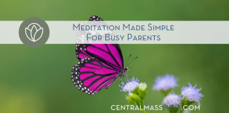 purple butterfly landing on a flower meditation made simple