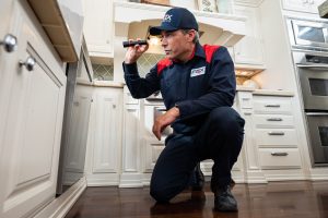 Pest Control Professional inspecting under a kitchen counter