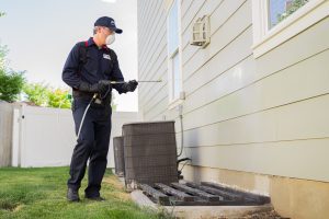 Pest Control Professional spraying outside a house