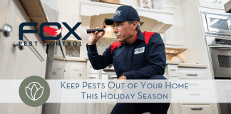 Pest Control Professional inspecting under a kitchen counter
