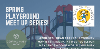 Playgrounds in Central Mass - Spring Playground Meet Up Series