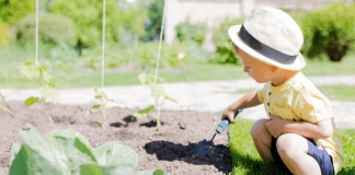 toddler digging in the dirt