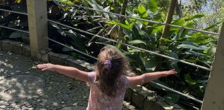 toddler in Brazil on an immersion trip, tips for raising bilingual kids.