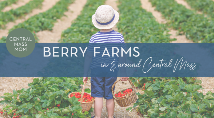 Berry Farms in Central Mass