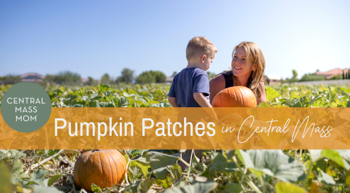 5 Pumpkin Patches in Central Mass