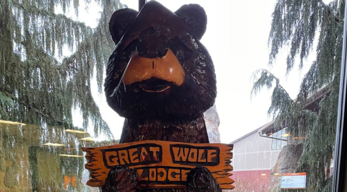 Great Wolf Lodge Getaway Tips