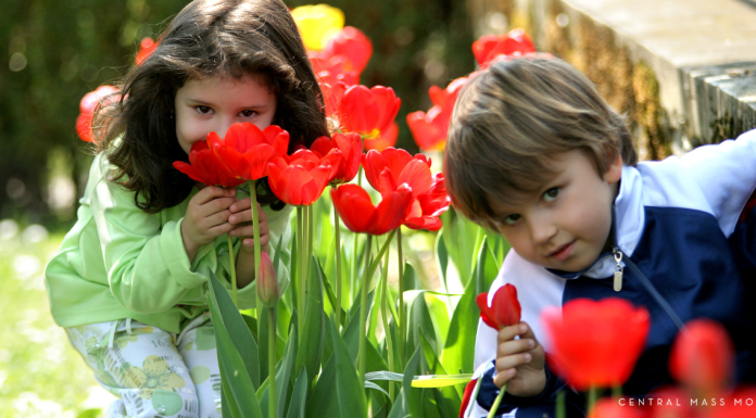 Connect with Your Kids This Spring :: Meaningful Activities & Conversations