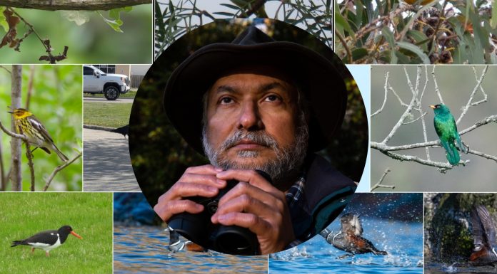Dr. Madhu Katti holding binoculars amidst photos of birds from eBird.