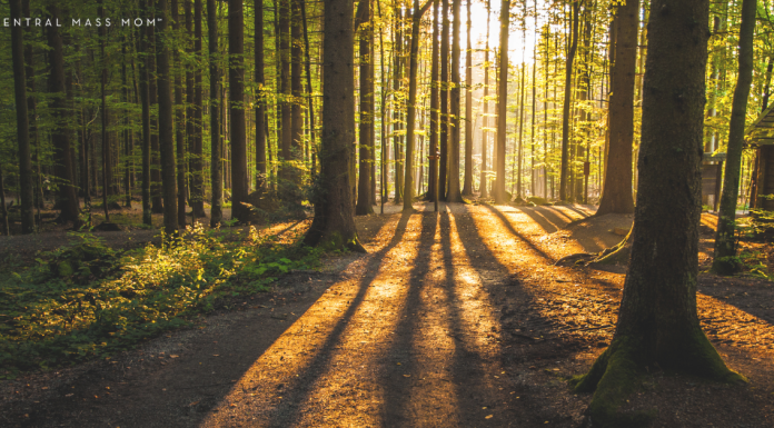 A Tiny Cabin Adventure :: A Night Away At Postcard Cabins