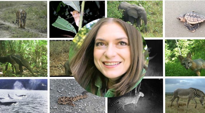 Staying Curious with Dr. Stephanie Manka