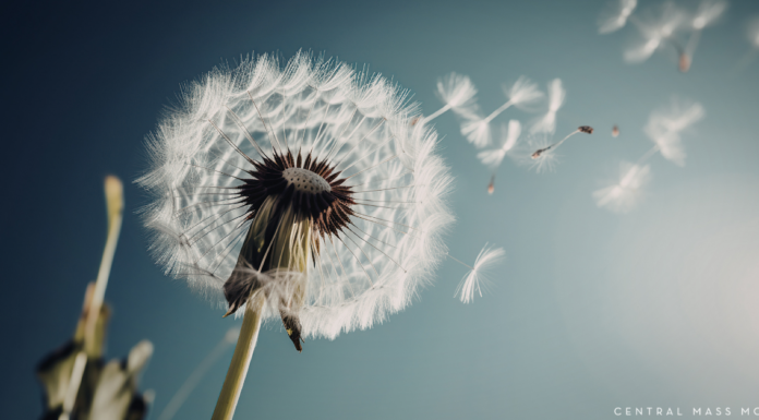 April’s Lesson In Letting Go